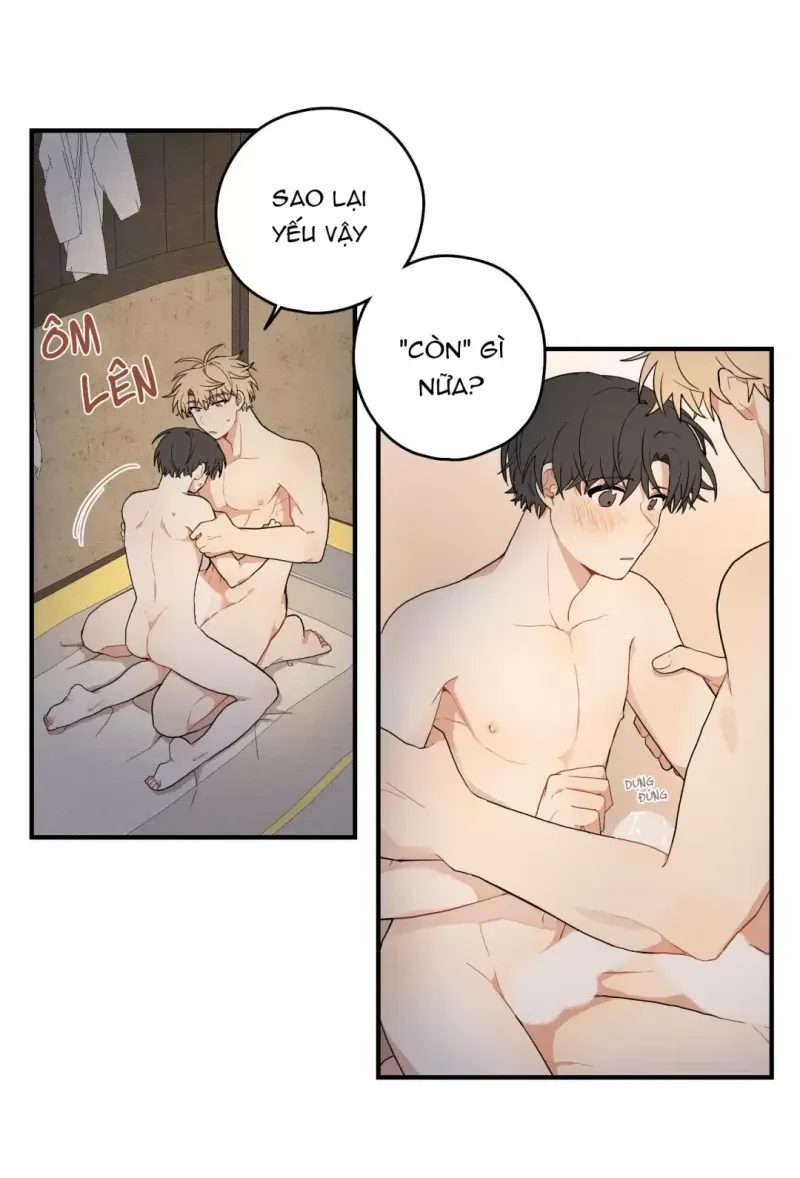 đọc truyện Dưới Tán Hoa Liên Kiều Chương 16 ảnh 30 tại Thiên Thai Truyện