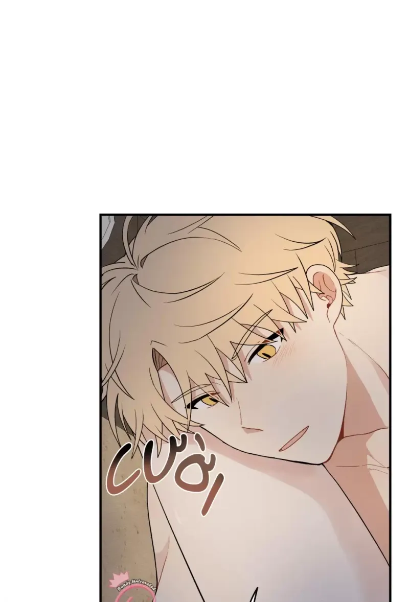 đọc truyện Dưới Tán Hoa Liên Kiều Chương 16 ảnh 9 tại Thiên Thai Truyện