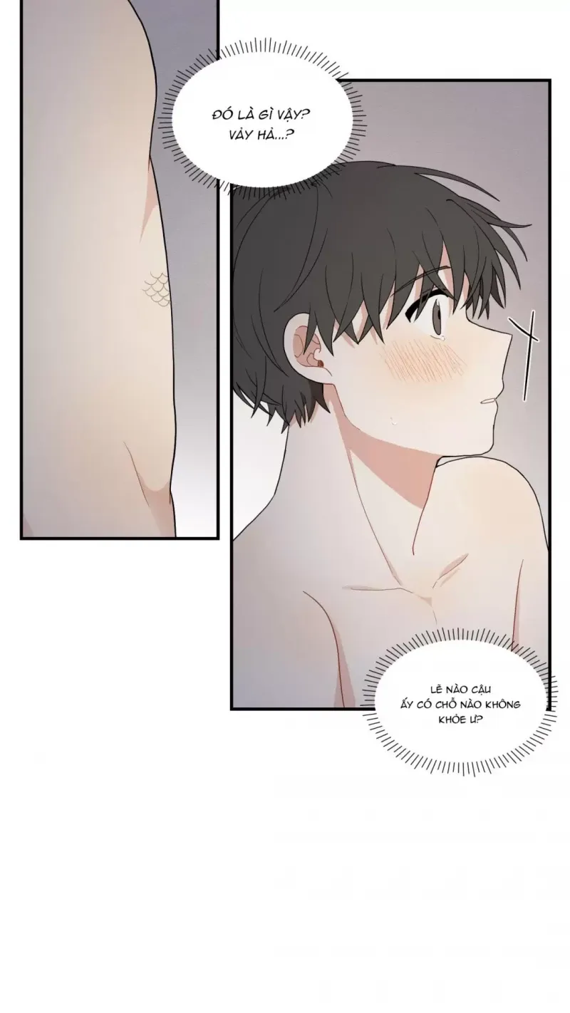 đọc truyện Dưới Tán Hoa Liên Kiều Chương 17.5 ảnh 17 tại Thiên Thai Truyện