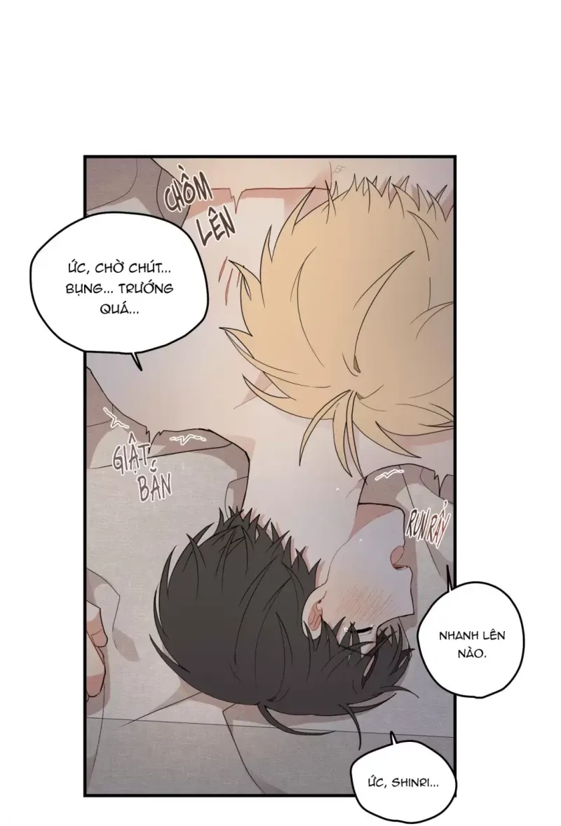 đọc truyện Dưới Tán Hoa Liên Kiều Chương 17.5 ảnh 6 tại Thiên Thai Truyện