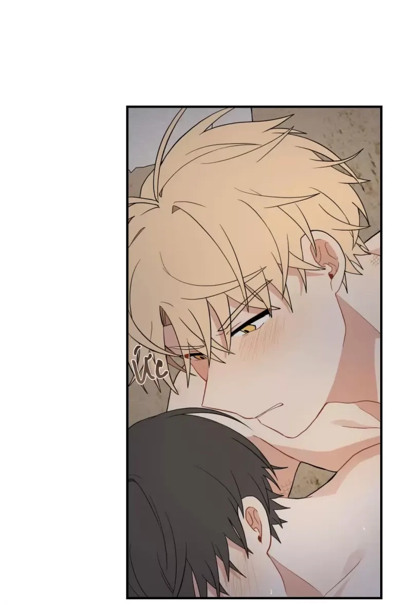 đọc truyện Dưới Tán Hoa Liên Kiều Chương 17.5 ảnh 10 tại Thiên Thai Truyện