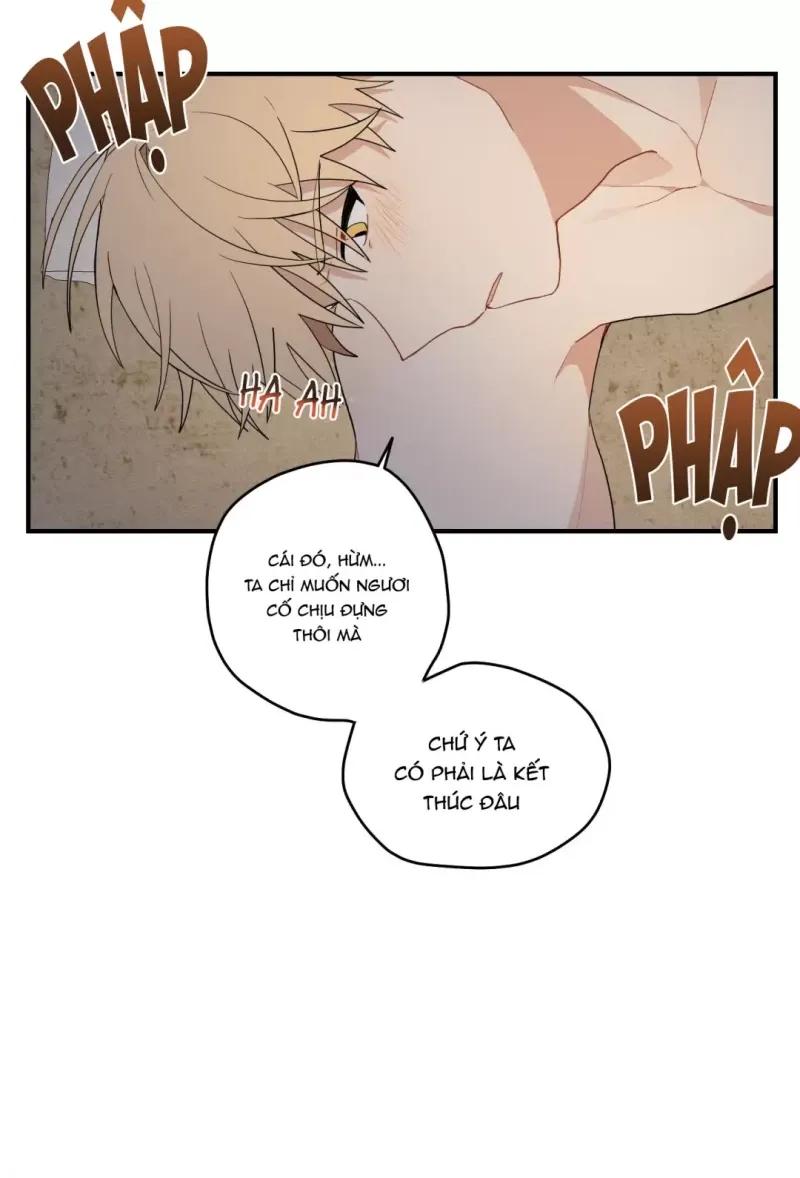 đọc truyện Dưới Tán Hoa Liên Kiều Chương 17 ảnh 14 tại Thiên Thai Truyện