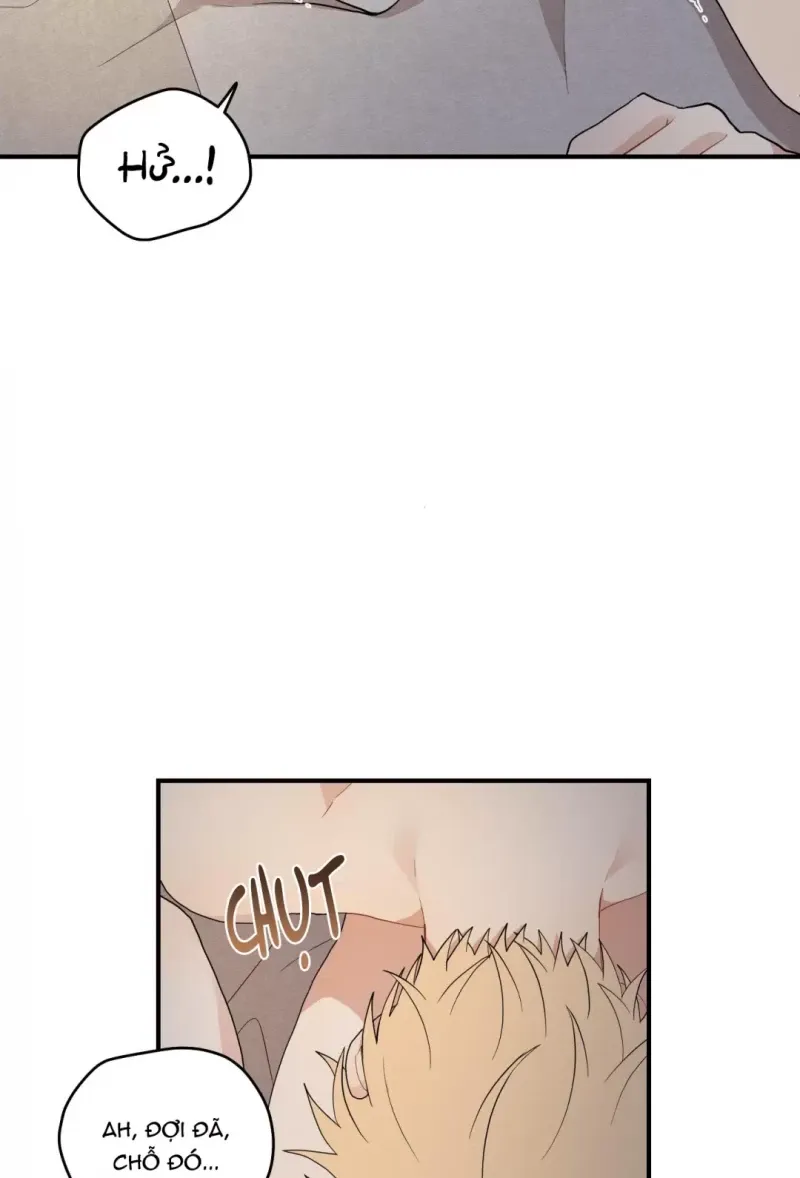 đọc truyện Dưới Tán Hoa Liên Kiều Chương 17 ảnh 17 tại Thiên Thai Truyện