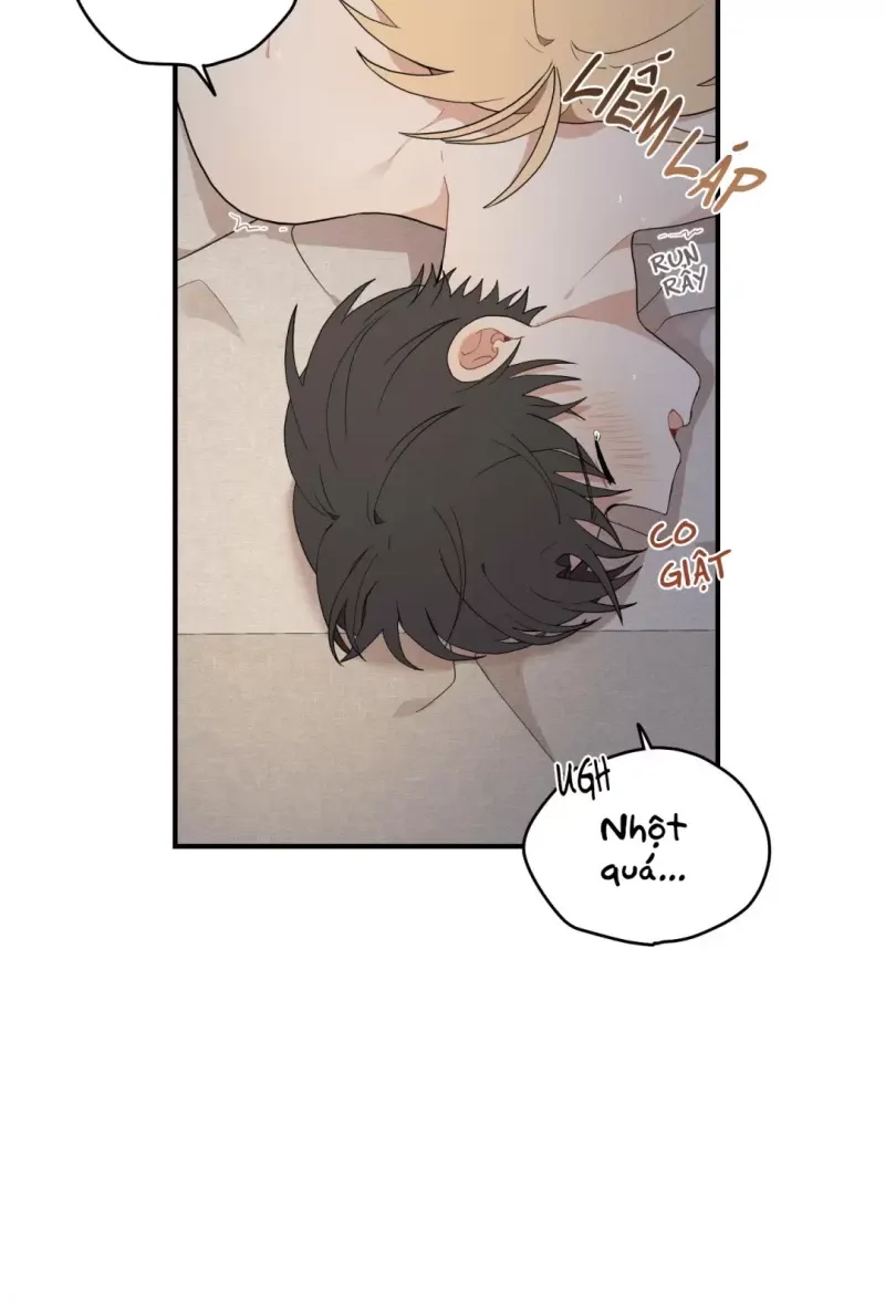 đọc truyện Dưới Tán Hoa Liên Kiều Chương 17 ảnh 18 tại Thiên Thai Truyện