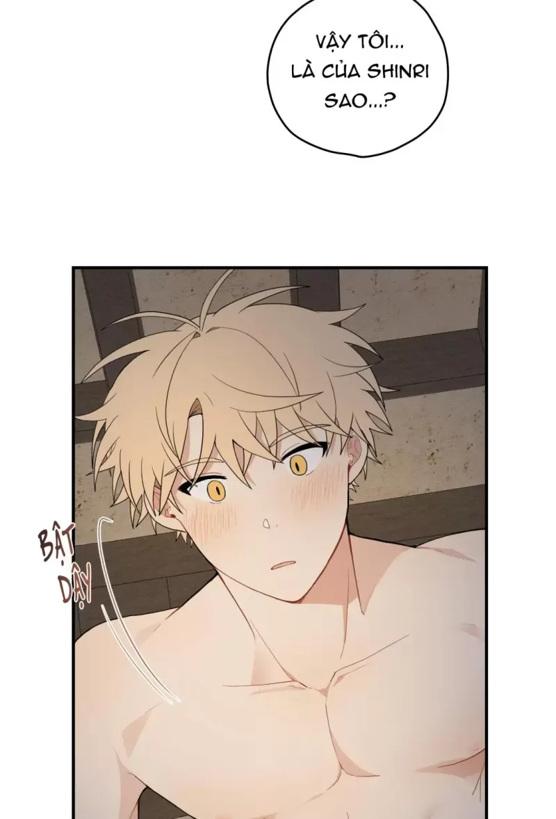 đọc truyện Dưới Tán Hoa Liên Kiều Chương 17 ảnh 21 tại Thiên Thai Truyện