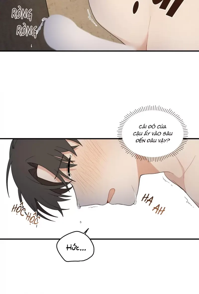 đọc truyện Dưới Tán Hoa Liên Kiều Chương 17 ảnh 9 tại Thiên Thai Truyện