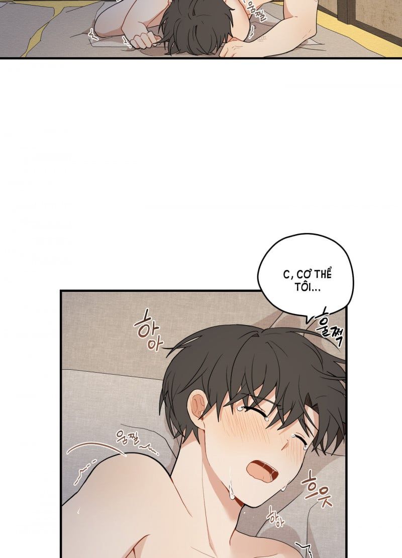 đọc truyện Dưới Tán Hoa Liên Kiều Chương 18.5 ảnh 23 tại Thiên Thai Truyện