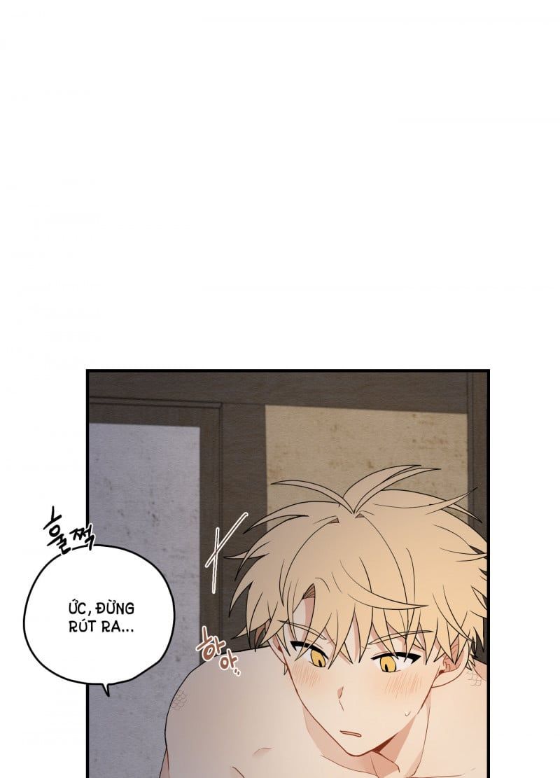 đọc truyện Dưới Tán Hoa Liên Kiều Chương 18.5 ảnh 28 tại Thiên Thai Truyện