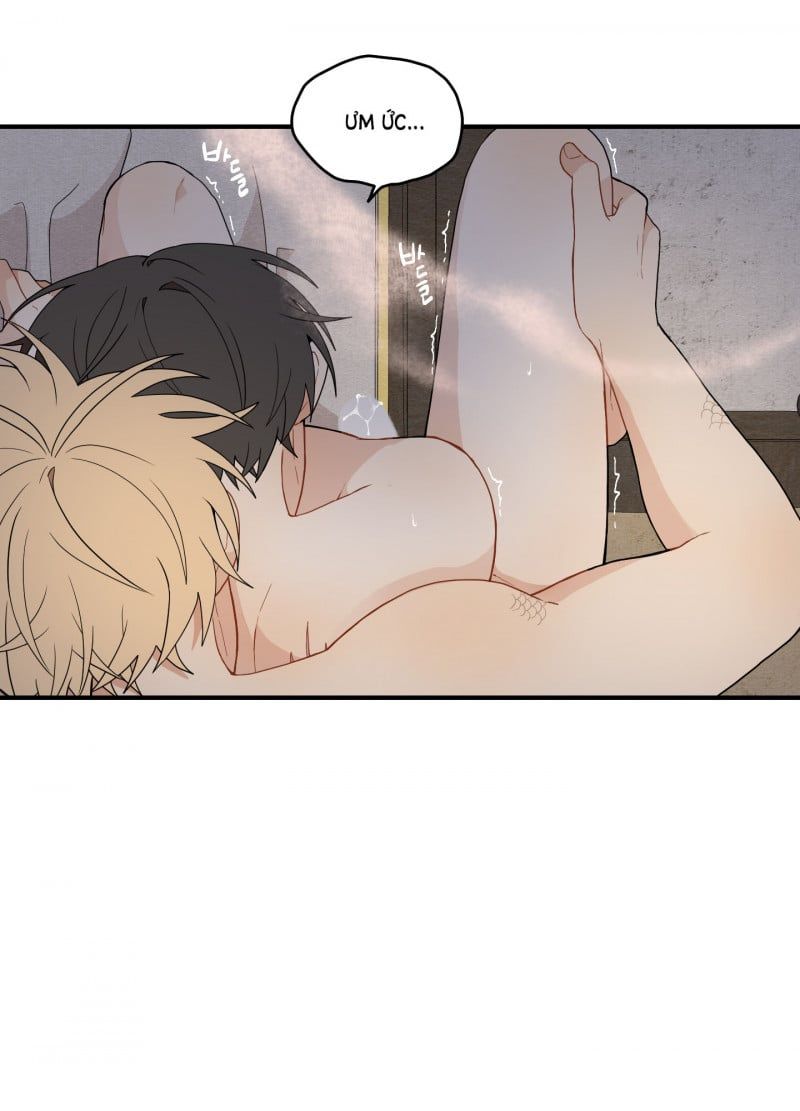 đọc truyện Dưới Tán Hoa Liên Kiều Chương 18.5 ảnh 5 tại Thiên Thai Truyện