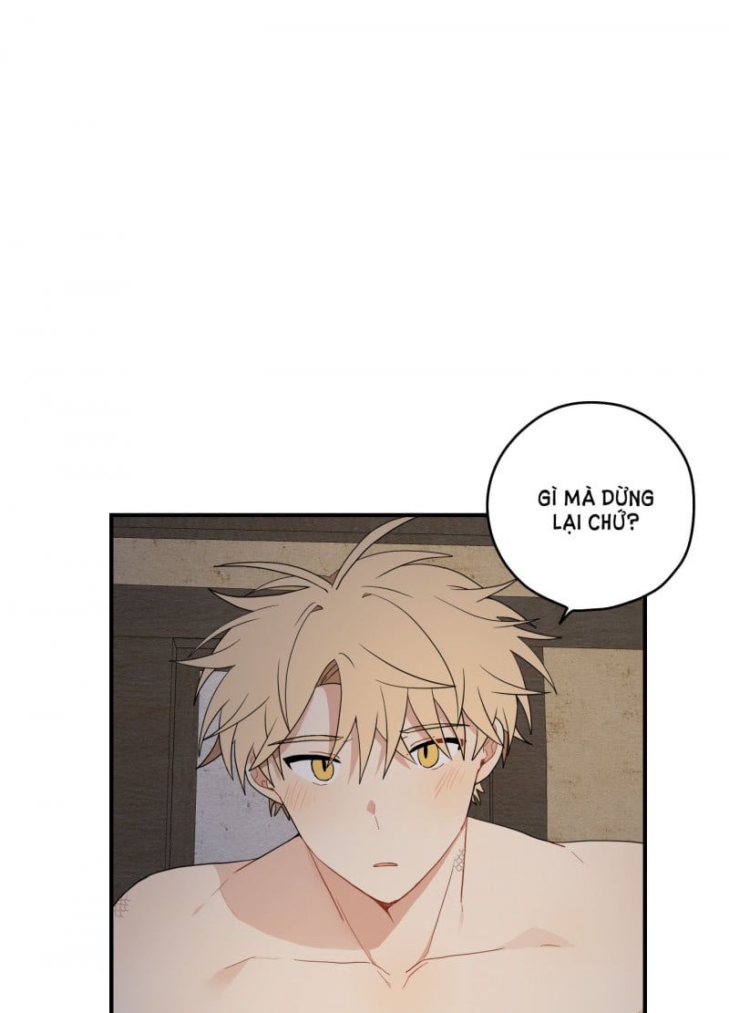 đọc truyện Dưới Tán Hoa Liên Kiều Chương 18.5 ảnh 38 tại Thiên Thai Truyện