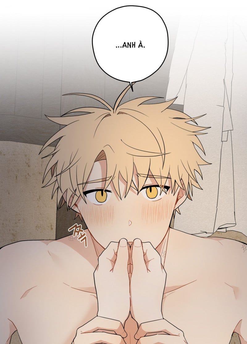 đọc truyện Dưới Tán Hoa Liên Kiều Chương 18 ảnh 13 tại Thiên Thai Truyện