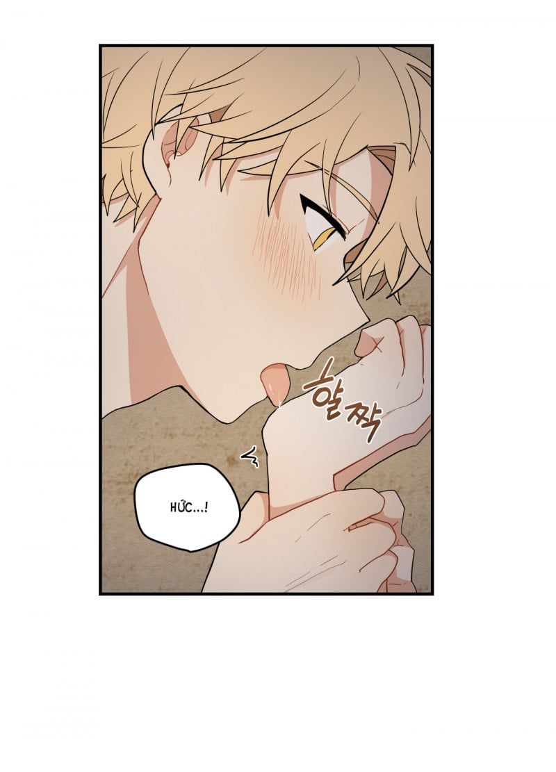 đọc truyện Dưới Tán Hoa Liên Kiều Chương 18 ảnh 16 tại Thiên Thai Truyện