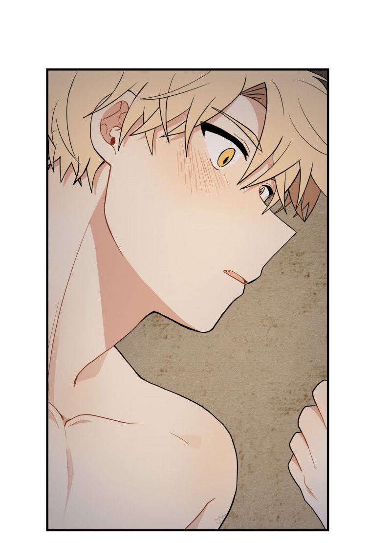 đọc truyện Dưới Tán Hoa Liên Kiều Chương 18 ảnh 25 tại Thiên Thai Truyện