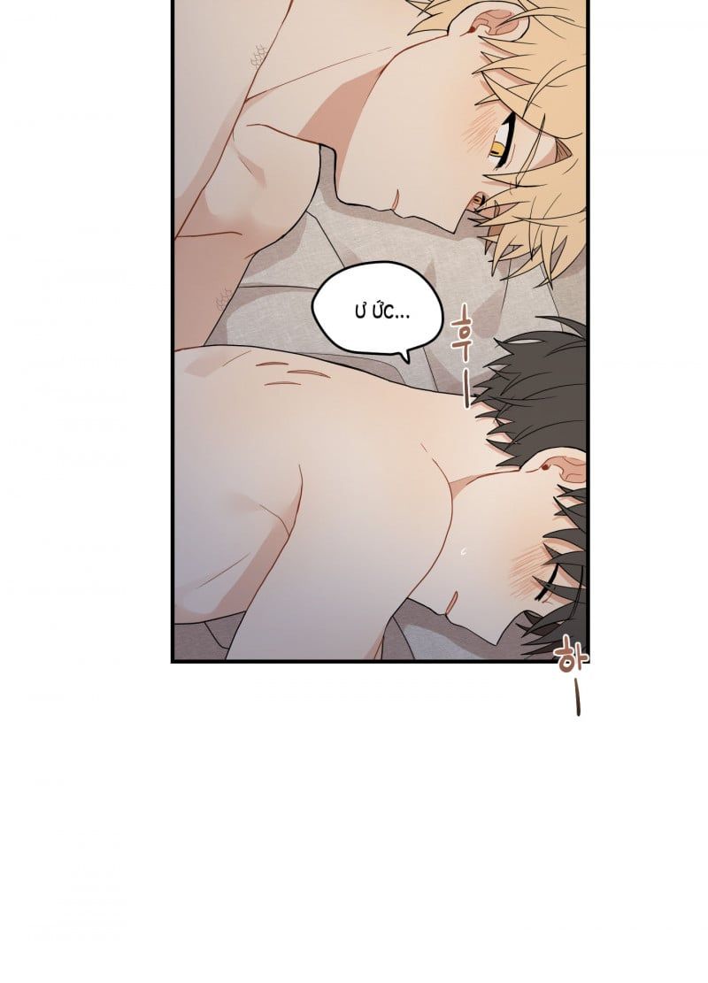 đọc truyện Dưới Tán Hoa Liên Kiều Chương 18 ảnh 41 tại Thiên Thai Truyện