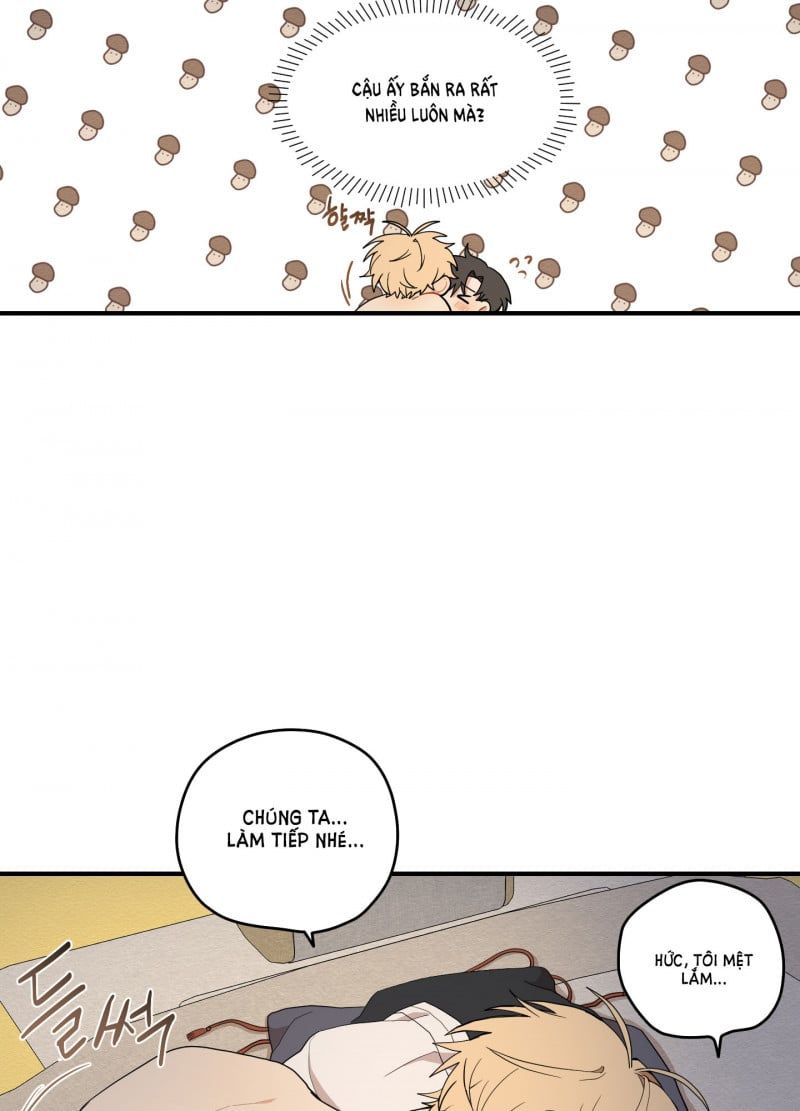 đọc truyện Dưới Tán Hoa Liên Kiều Chương 18 ảnh 6 tại Thiên Thai Truyện