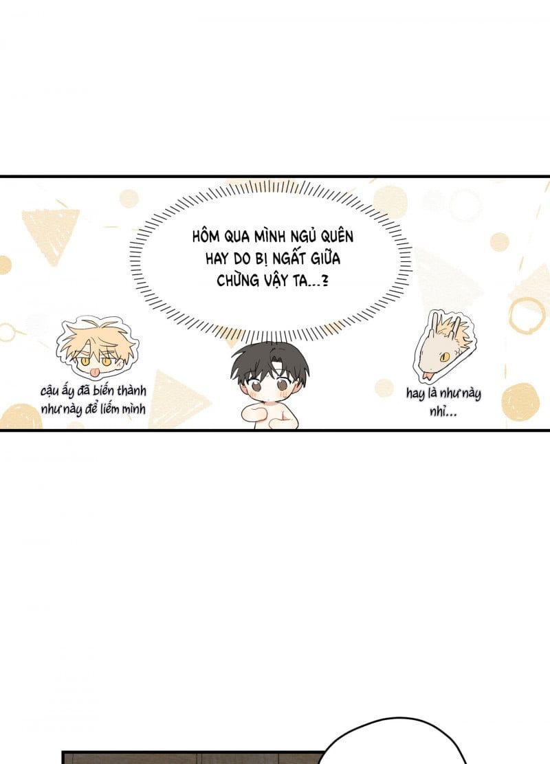 đọc truyện Dưới Tán Hoa Liên Kiều Chương 19.5 ảnh 14 tại Thiên Thai Truyện