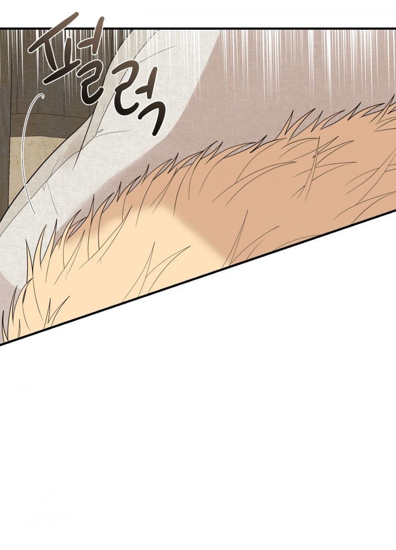 đọc truyện Dưới Tán Hoa Liên Kiều Chương 19 ảnh 13 tại Thiên Thai Truyện