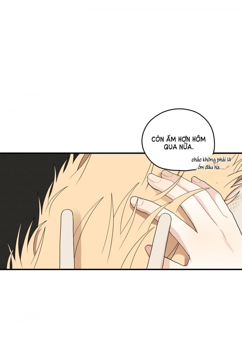 đọc truyện Dưới Tán Hoa Liên Kiều Chương 19 ảnh 20 tại Thiên Thai Truyện