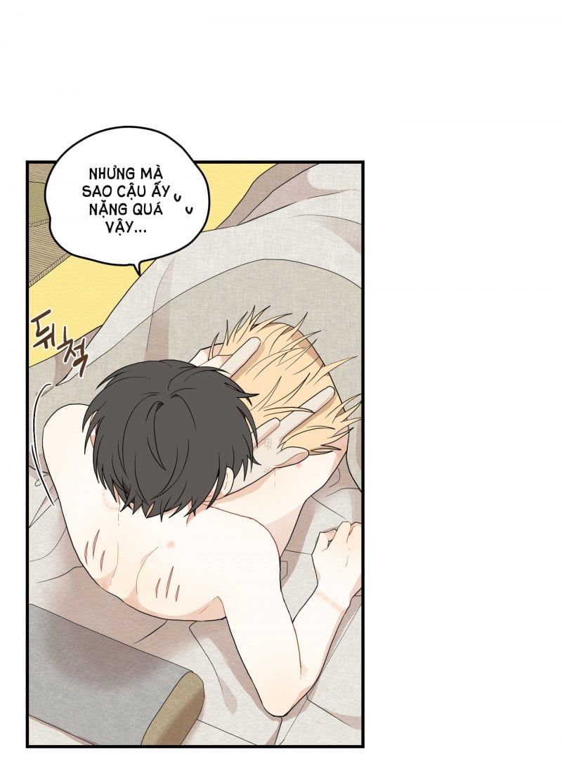 đọc truyện Dưới Tán Hoa Liên Kiều Chương 19 ảnh 21 tại Thiên Thai Truyện