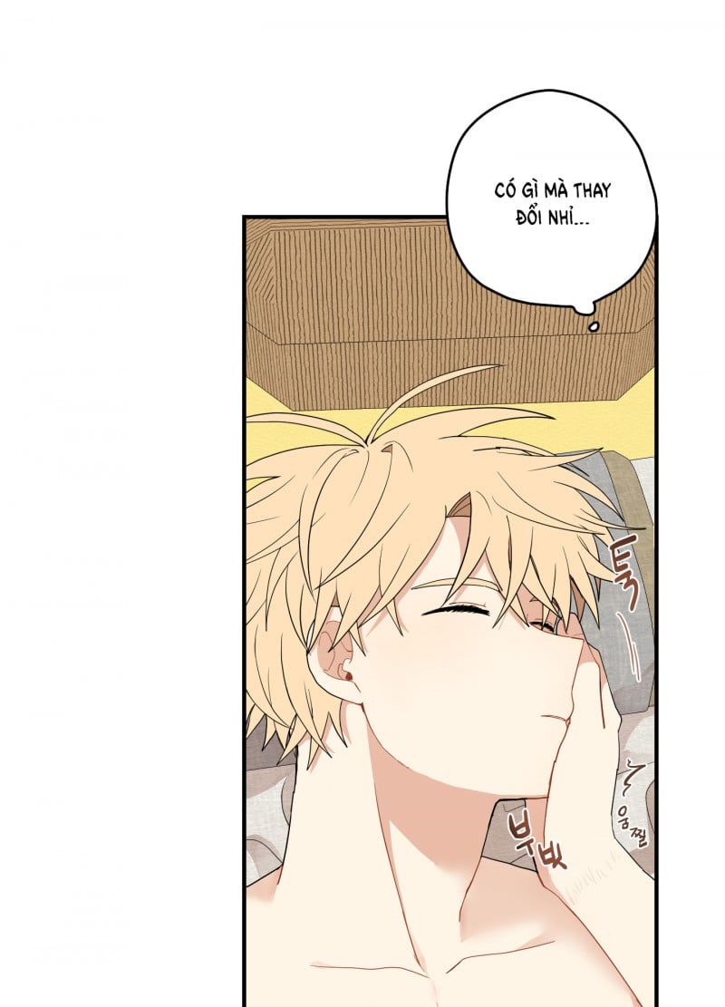 đọc truyện Dưới Tán Hoa Liên Kiều Chương 19 ảnh 34 tại Thiên Thai Truyện