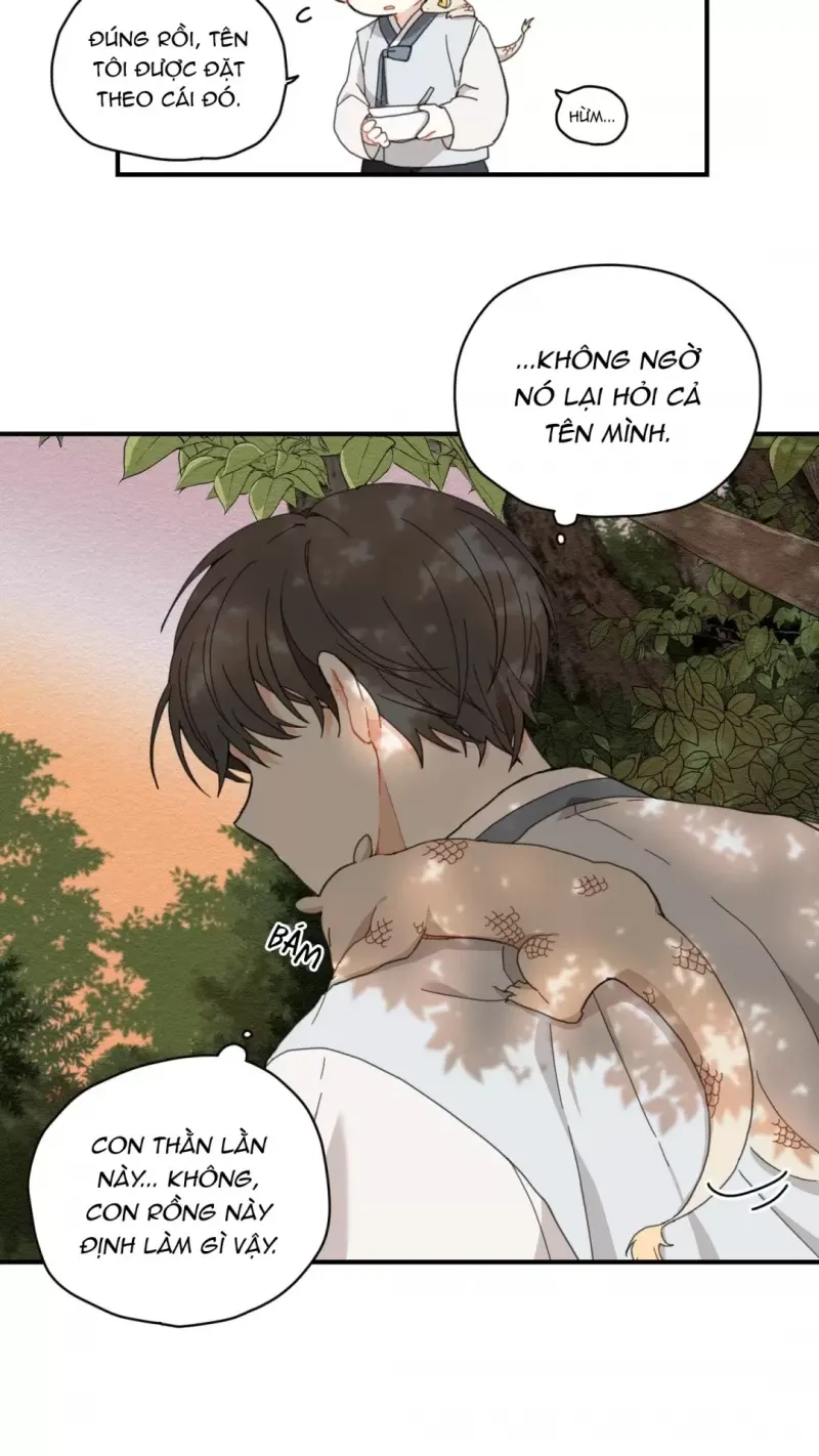 đọc truyện Dưới Tán Hoa Liên Kiều Chương 2.5 ảnh 13 tại Thiên Thai Truyện