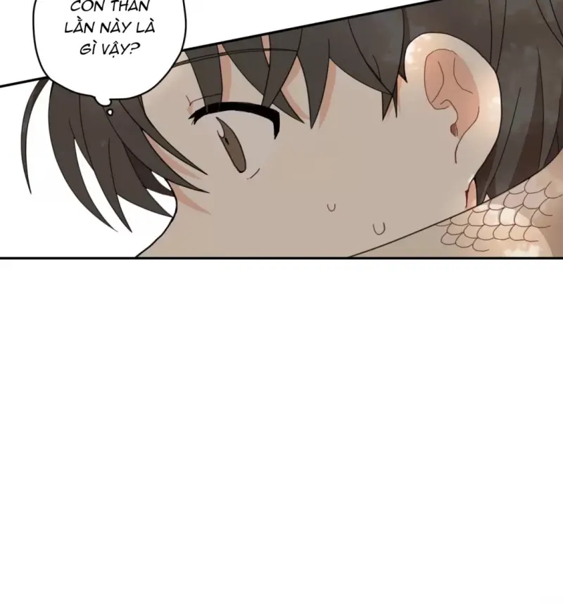 đọc truyện Dưới Tán Hoa Liên Kiều Chương 2 ảnh 18 tại Thiên Thai Truyện