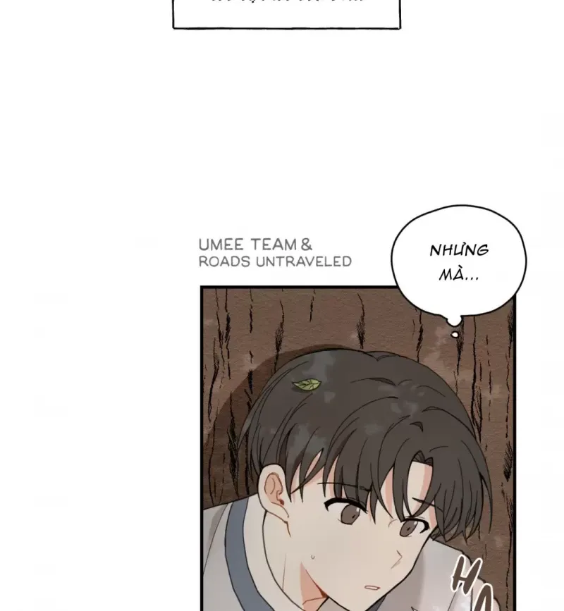 đọc truyện Dưới Tán Hoa Liên Kiều Chương 2 ảnh 4 tại Thiên Thai Truyện