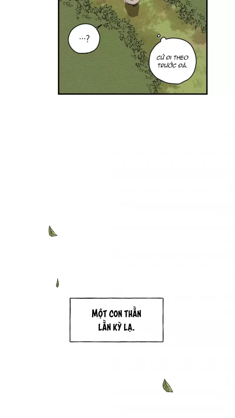 đọc truyện Dưới Tán Hoa Liên Kiều Chương 2 ảnh 22 tại Thiên Thai Truyện