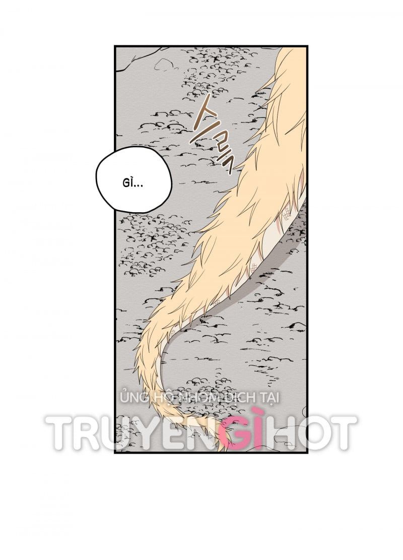 đọc truyện Dưới Tán Hoa Liên Kiều Chương 20.5 ảnh 17 tại Thiên Thai Truyện