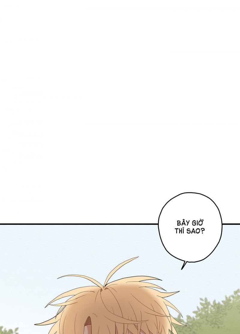 đọc truyện Dưới Tán Hoa Liên Kiều Chương 20 ảnh 21 tại Thiên Thai Truyện