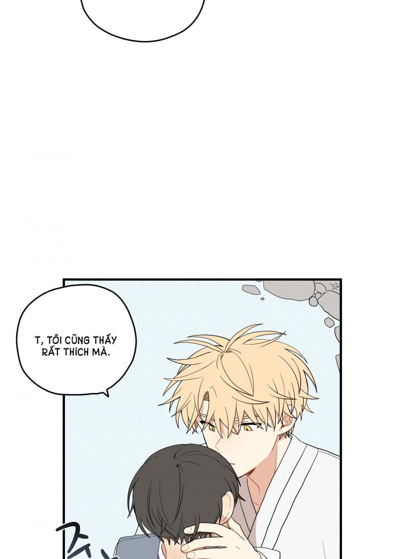 đọc truyện Dưới Tán Hoa Liên Kiều Chương 20 ảnh 5 tại Thiên Thai Truyện