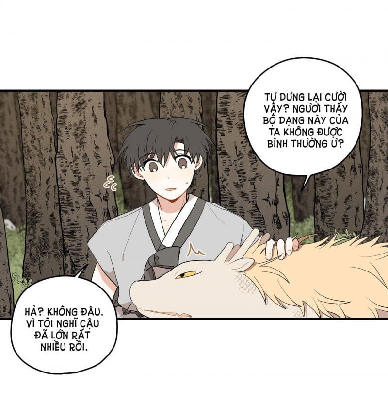 đọc truyện Dưới Tán Hoa Liên Kiều Chương 21.5 ảnh 13 tại Thiên Thai Truyện