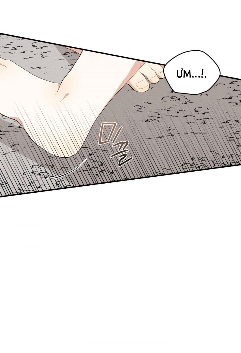 đọc truyện Dưới Tán Hoa Liên Kiều Chương 21.5 ảnh 5 tại Thiên Thai Truyện