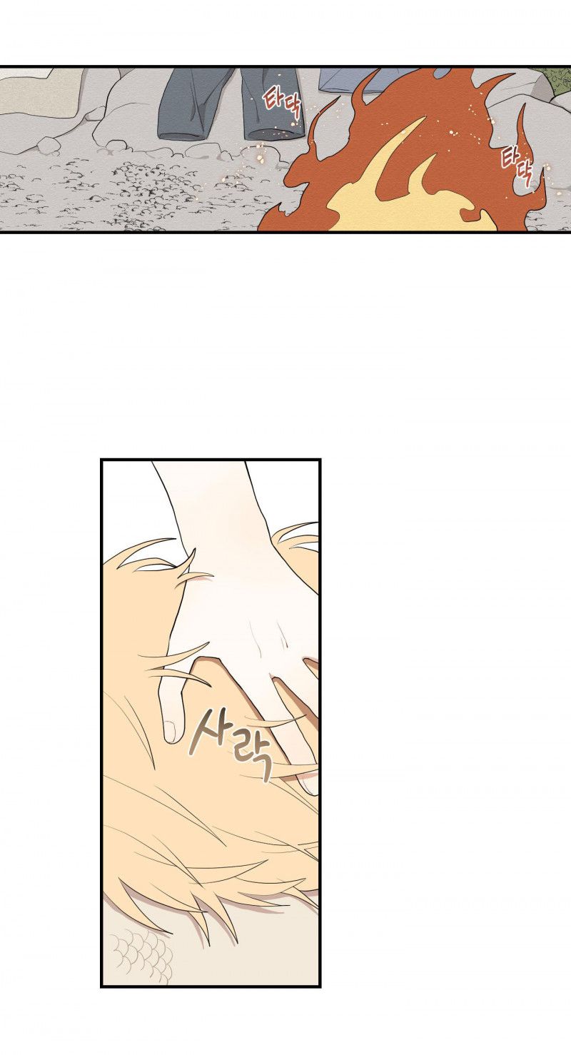 đọc truyện Dưới Tán Hoa Liên Kiều Chương 21.5 ảnh 10 tại Thiên Thai Truyện