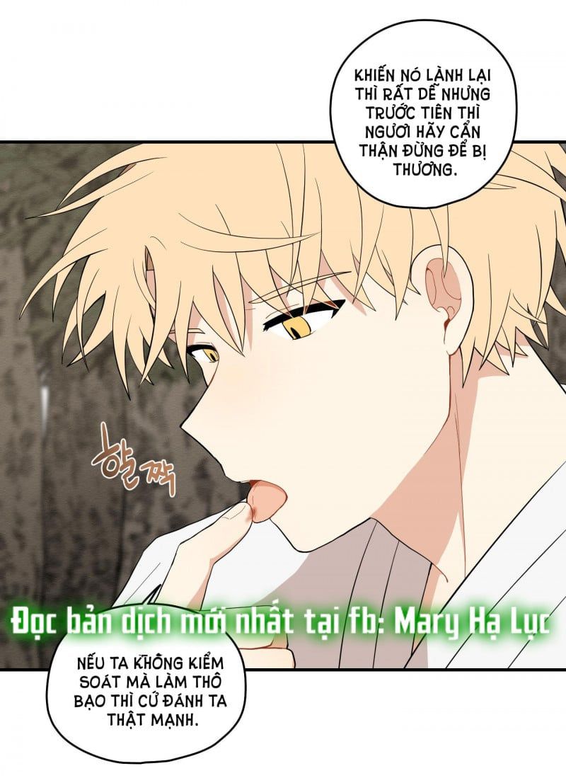 đọc truyện Dưới Tán Hoa Liên Kiều Chương 21 ảnh 28 tại Thiên Thai Truyện