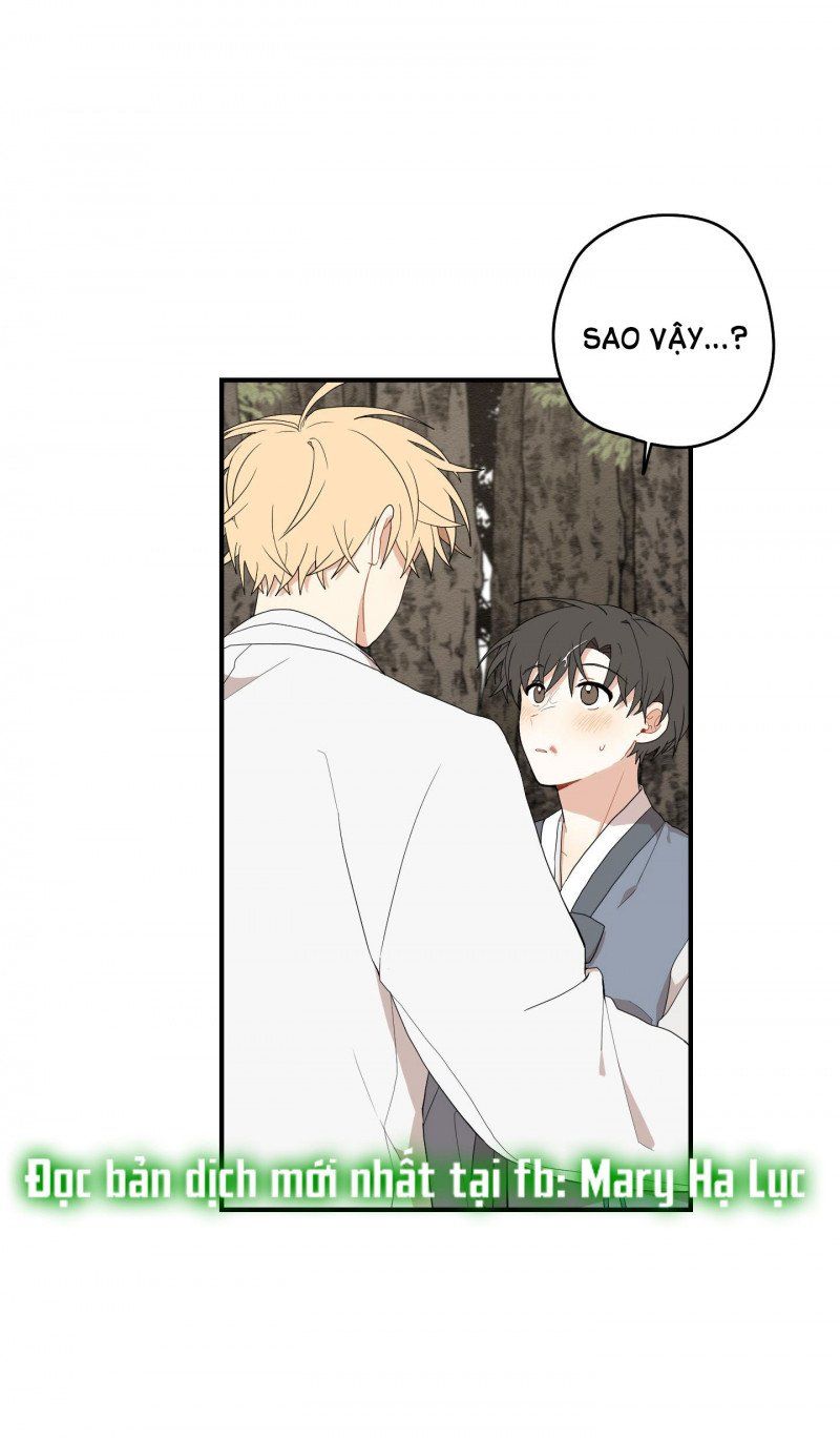 đọc truyện Dưới Tán Hoa Liên Kiều Chương 21 ảnh 10 tại Thiên Thai Truyện