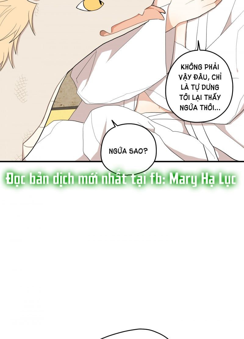 đọc truyện Dưới Tán Hoa Liên Kiều Chương 22 ảnh 14 tại Thiên Thai Truyện