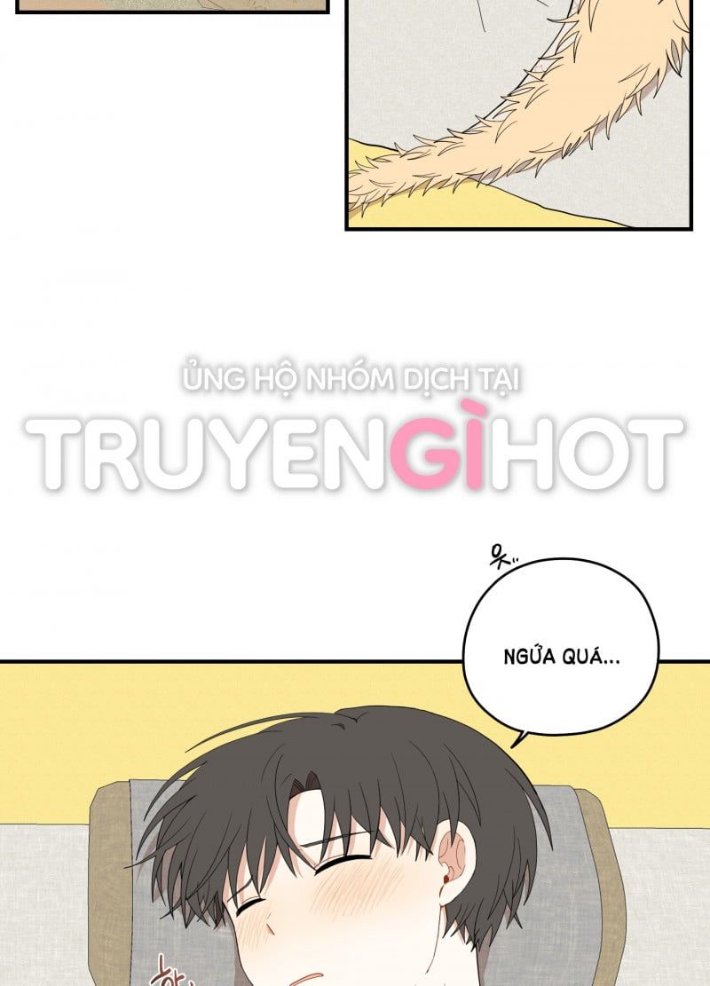 đọc truyện Dưới Tán Hoa Liên Kiều Chương 22 ảnh 4 tại Thiên Thai Truyện