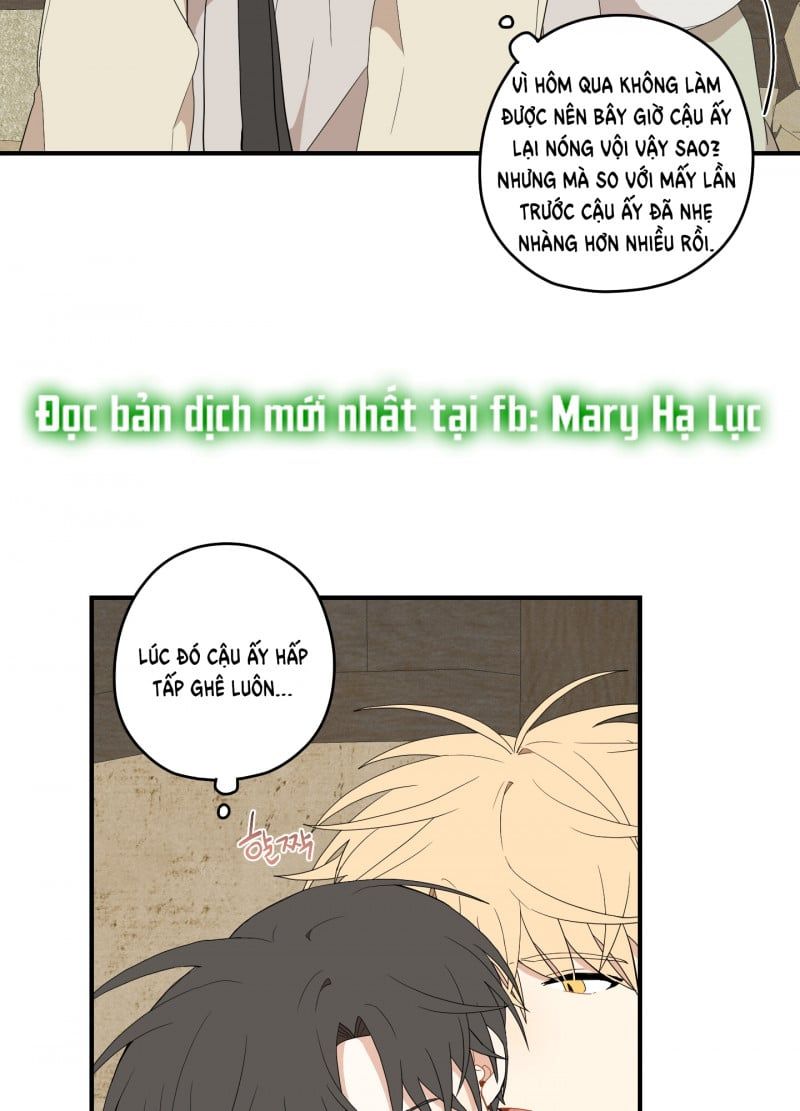 đọc truyện Dưới Tán Hoa Liên Kiều Chương 22 ảnh 34 tại Thiên Thai Truyện