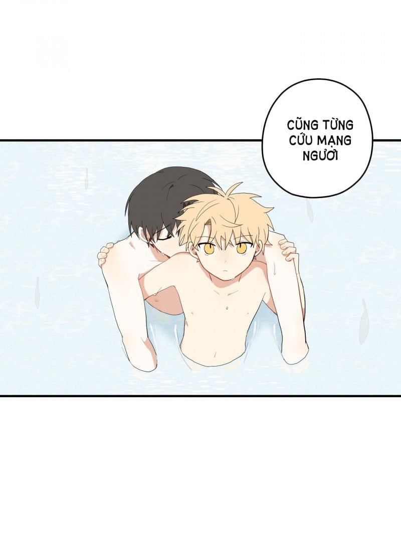 đọc truyện Dưới Tán Hoa Liên Kiều Chương 24 ảnh 12 tại Thiên Thai Truyện