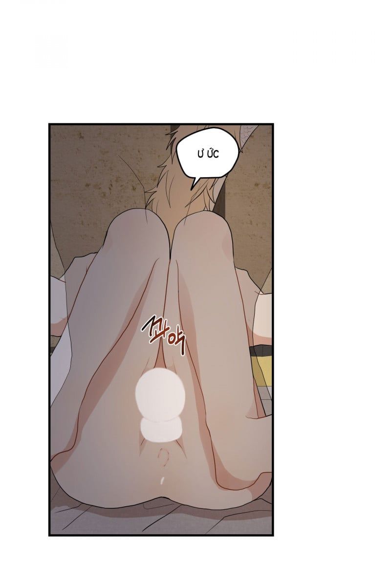 đọc truyện Dưới Tán Hoa Liên Kiều Chương 25.5 ảnh 19 tại Thiên Thai Truyện