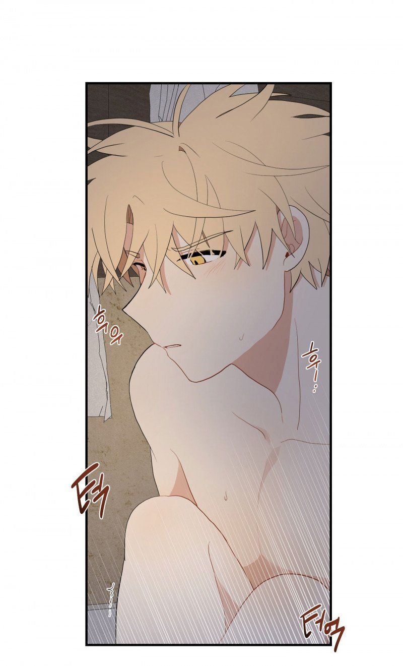 đọc truyện Dưới Tán Hoa Liên Kiều Chương 25.5 ảnh 21 tại Thiên Thai Truyện