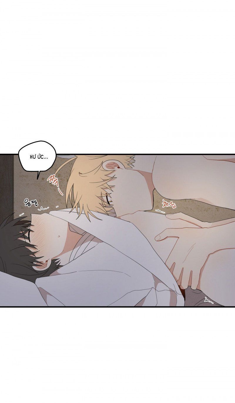 đọc truyện Dưới Tán Hoa Liên Kiều Chương 25.5 ảnh 4 tại Thiên Thai Truyện