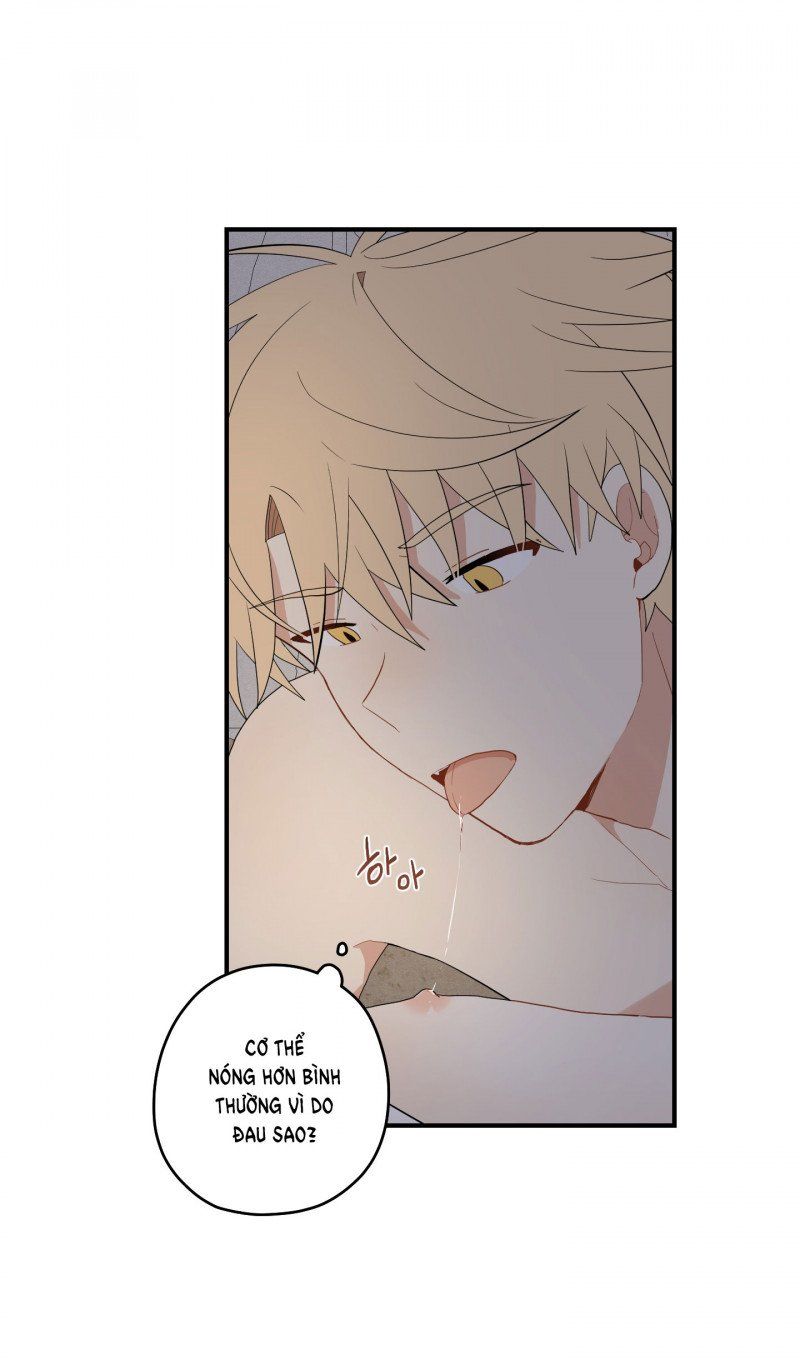 đọc truyện Dưới Tán Hoa Liên Kiều Chương 25.5 ảnh 5 tại Thiên Thai Truyện