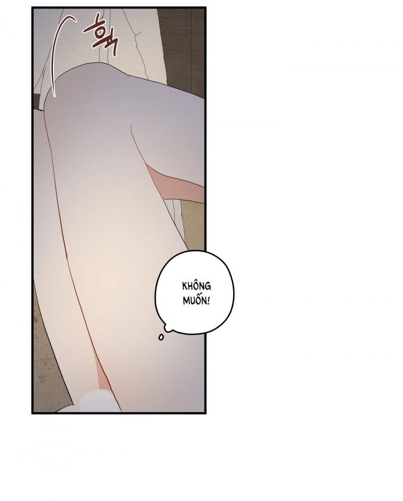 đọc truyện Dưới Tán Hoa Liên Kiều Chương 25.5 ảnh 11 tại Thiên Thai Truyện