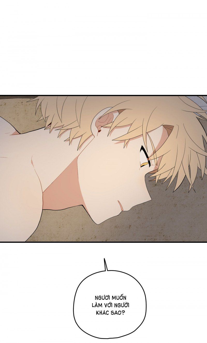 đọc truyện Dưới Tán Hoa Liên Kiều Chương 25 ảnh 14 tại Thiên Thai Truyện