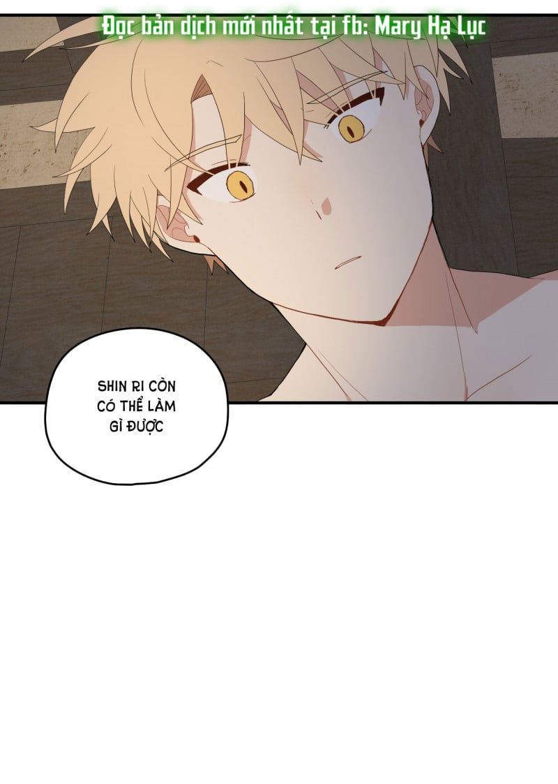 đọc truyện Dưới Tán Hoa Liên Kiều Chương 25 ảnh 18 tại Thiên Thai Truyện