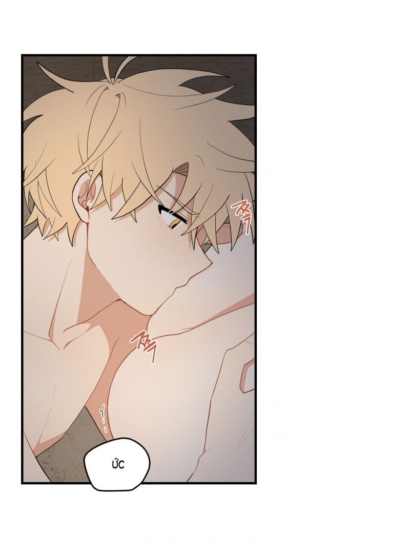 đọc truyện Dưới Tán Hoa Liên Kiều Chương 25 ảnh 24 tại Thiên Thai Truyện