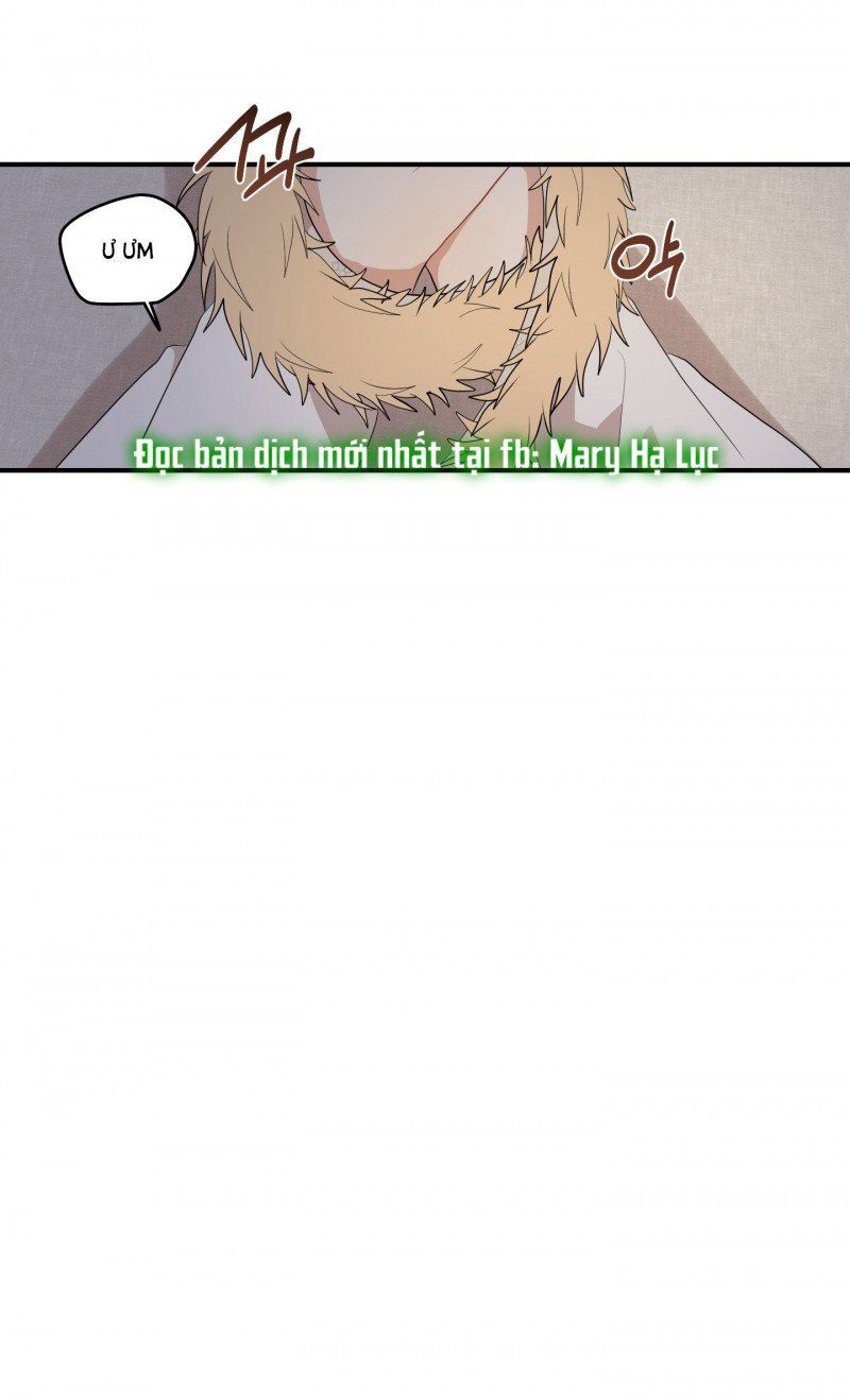 đọc truyện Dưới Tán Hoa Liên Kiều Chương 25 ảnh 34 tại Thiên Thai Truyện