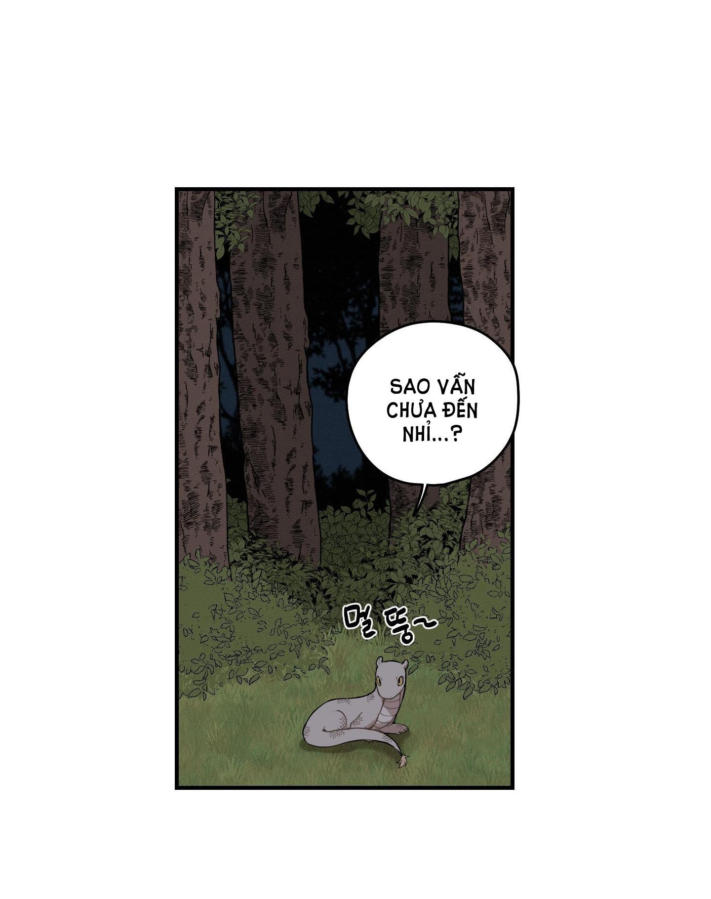 đọc truyện Dưới Tán Hoa Liên Kiều Chương 28.1 ảnh 17 tại Thiên Thai Truyện